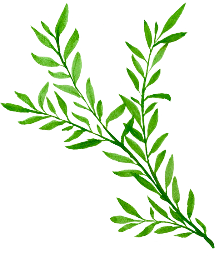 Green Leaves Cutout
